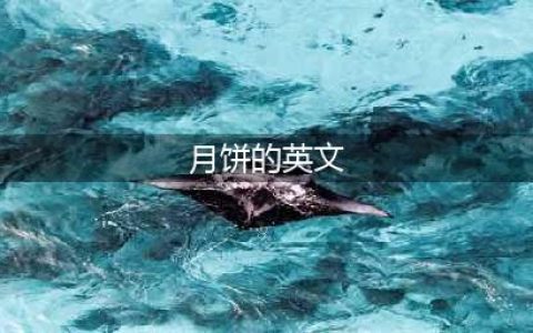 【中秋吃货盘点】各种月饼的英文叫法，你知道吗？(月饼的英文)