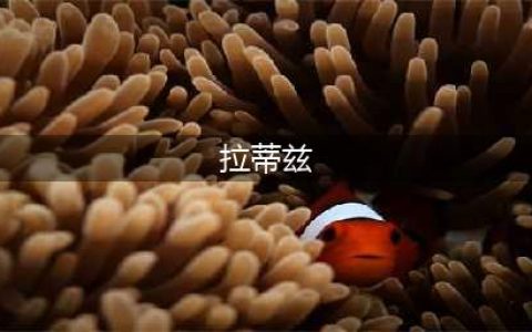 《七龙珠激战传说》拉蒂兹怎么玩 拉蒂兹属性技能攻略详解(拉蒂兹)