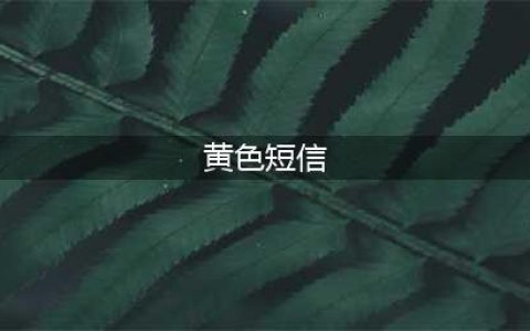 手机总是收到“黄色”短信？一招教你如何处理！(黄色短信)