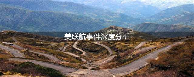 【独家】这是一篇别处看不到的美联航事件深度分析(美联航事件深度分析)
