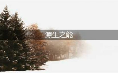 源生之能作用是什么(源生之能)