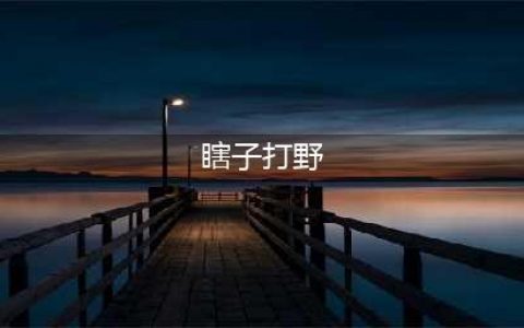 《LOL》10.9瞎子打野怎么玩 瞎子打野玩法技巧上分攻略(瞎子打野)
