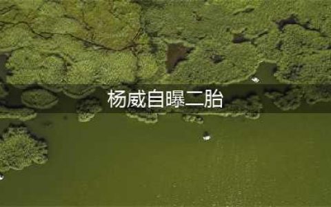 杨威自曝妻子怀二胎:杨云肚子里面又有了(杨威自曝二胎)