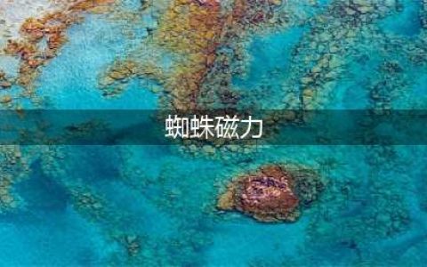 10大亮点揭秘：蜘蛛磁力搜索引擎的全面解析(蜘蛛磁力)
