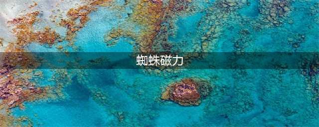 10大亮点揭秘：蜘蛛磁力搜索引擎的全面解析(蜘蛛磁力)