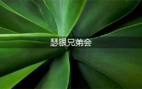 《魔兽世界》瑟银兄弟会声望怎么刷 刷瑟银兄弟会声望分享(瑟银兄弟会)