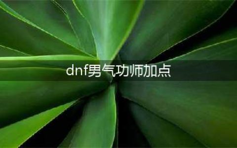 DNF男气功师110级刷图加点攻略(dnf男气功师加点)