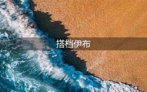 宝可梦：搭档伊布种族值(搭档伊布)