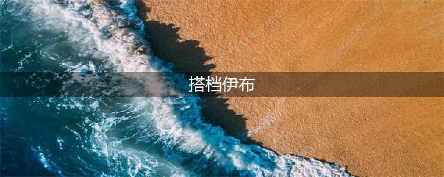 宝可梦：搭档伊布种族值(搭档伊布)
