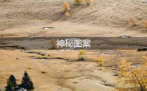 阴阳师2021年1月神秘图案怎么画 神秘图案画法攻略(神秘图案)