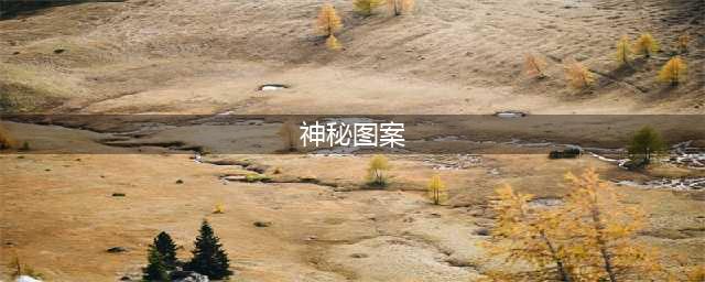 阴阳师2021年1月神秘图案怎么画 神秘图案画法攻略(神秘图案)