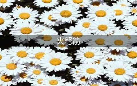 和平精英火弩箭怎么获得 火弩箭获取攻略(火弩箭)