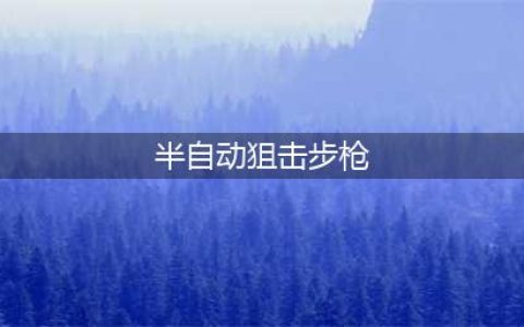 盘点外形帅气的半自动狙击步枪，如果你是雇佣兵你会选哪把？(半自动狙击步枪)