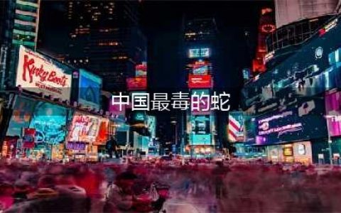 中国最毒十种蛇排行榜 第一绝不是眼镜蛇 才怪(中国最毒的蛇)