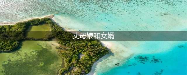 妻子是润滑剂 揭露女婿和丈母娘间的“潜规则”(丈母娘和女婿)