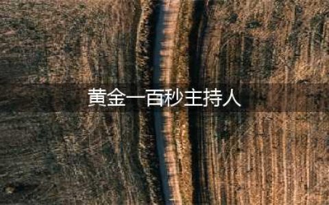 《黄金一百秒》主持人盘点：维妮娜、李佳明、龙洋、杨帆(黄金一百秒主持人)