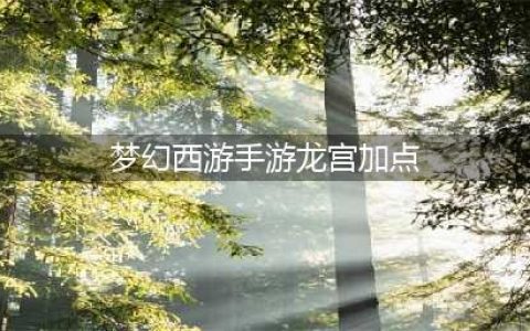 《梦幻西游手游》平民龙宫怎么加点 平民龙宫加点推荐(梦幻西游手游龙宫加点)
