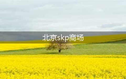 神话般的商场——北京SKP(北京skp商场)