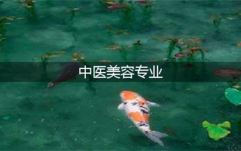 中医美容主要是学什么？(中医美容专业)