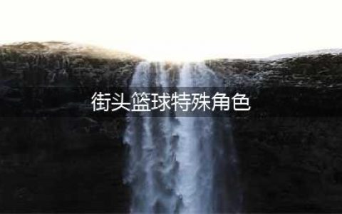 《街头篮球》特殊角色怎么选择 特殊角色选择技巧