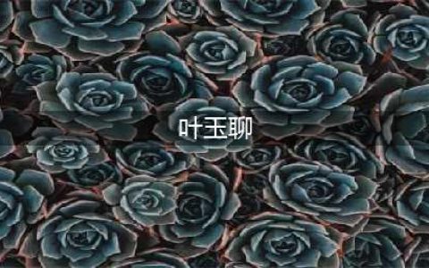 演员叶玉卿，嫁富商生下三子，结婚26年身材未走样(叶玉聊)