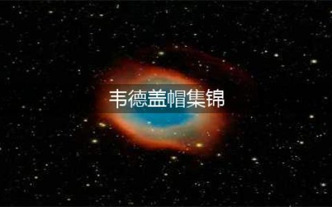 篮球GIF：韦德盖帽集锦，詹姆斯、雷阿伦等9人列入(韦德盖帽集锦)