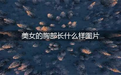 女生胸部最标准的4个形状（男生禁入）(美女的胸部长什么样图片)