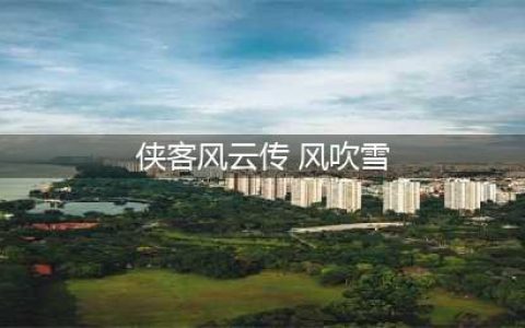 侠客风云传风吹雪任务怎么玩-风吹雪任务攻略要点(侠客风云传 风吹雪)