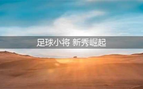 足球小将新秀崛起技能搭配心得分享