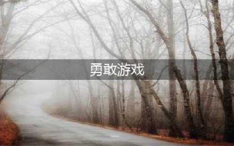 关于勇敢的游戏下载大全2021 勇敢游戏推荐(勇敢游戏)