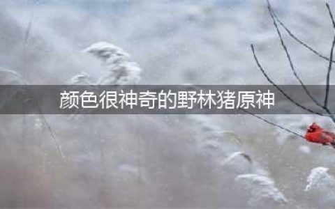 《原神》颜色很神奇的野林猪是什么