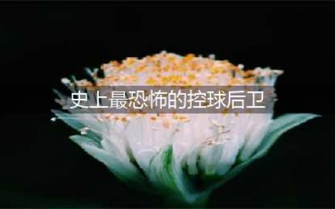 被称为“史上最恐怖的控球后卫”，曾打爆吴悠，掀翻日本街球！(史上最恐怖的控球后卫)