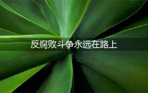 反腐败斗争永远在路上(反腐败斗争永远在路上)