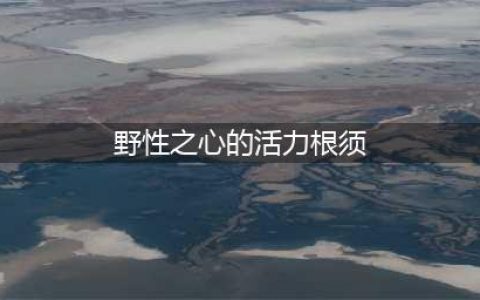 魔兽怀旧服野性之心的活力根须怎么获得(野性之心的活力根须)
