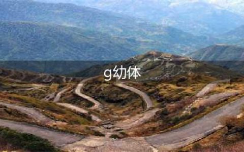 《生化危机2：重制版》怎么绕开G幼体 绕开G幼体攻略分享(g幼体)