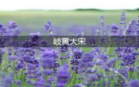 开封推出大宋中医药文化市集，专家走上街头让更多群众享受中医药(岐黄大宋)