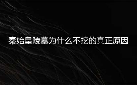 秦始皇陵墓为什么不能挖？原因很简单，大概要挖150年！(秦始皇陵墓为什么不挖的真正原因)