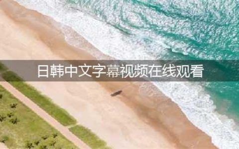 五款高品质中文字幕电影网站推荐(日韩中文字幕视频在线观看)
