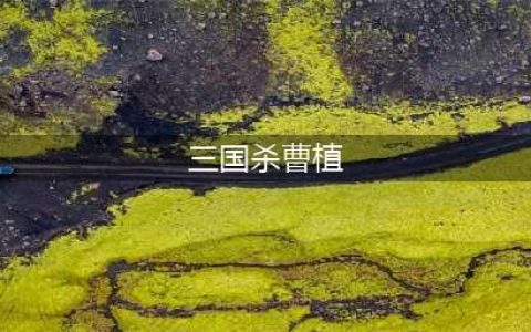 《三国杀界》曹植怎么样 技能效果分享(三国杀曹植)