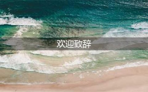 罗照辉署长在欢迎晚宴上的致辞(欢迎致辞)