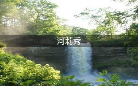 46岁女星河莉秀近照曝光 为男友选择变性 却因不能生育离婚收场？(河莉秀)