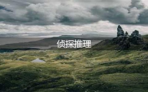 10个侦探推理游戏(侦探推理)