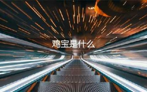 鸡宝是什么东西？(鸡宝是什么)