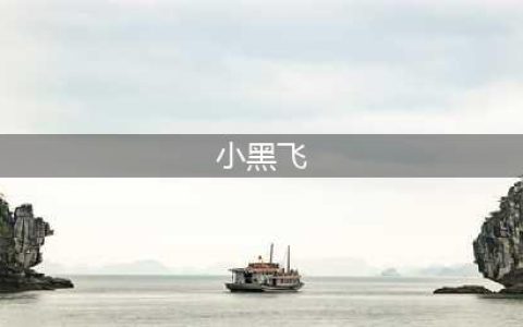 小黑飞怎么杀也不死？那是你没用对方法！(小黑飞)