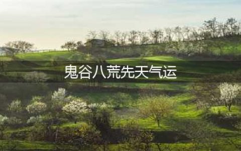 鬼谷八荒先天气运强度排行 鬼谷八荒先天气运最强搭配推荐