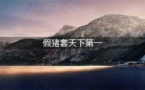 假猪套天下第一是什么意思 DNF假猪套属性性能一览(假猪套天下第一)
