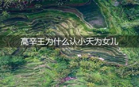《长相思》高辛王为什么认小夭为女儿？《长相思》小夭是人还是妖？(高辛王为什么认小夭为女儿)
