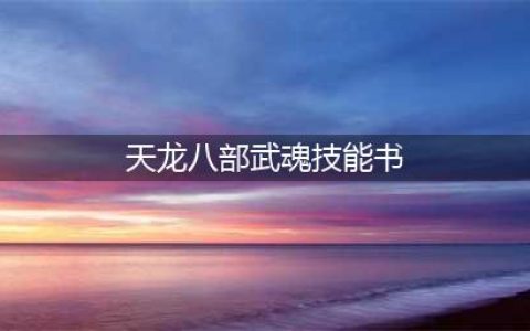天龙八部武魂技能书在哪刷
