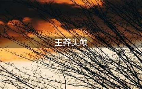 王莽的头颅究竟有何特殊？被历代皇室当成宝贝，收藏了272年(王莽头颅)