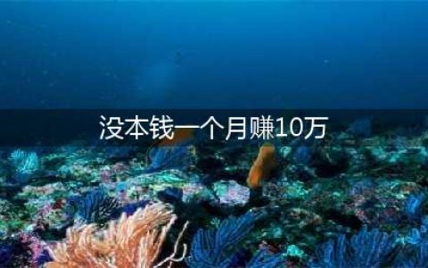 没本钱一个月赚10万的好方法就是执行力(没本钱一个月赚10万)